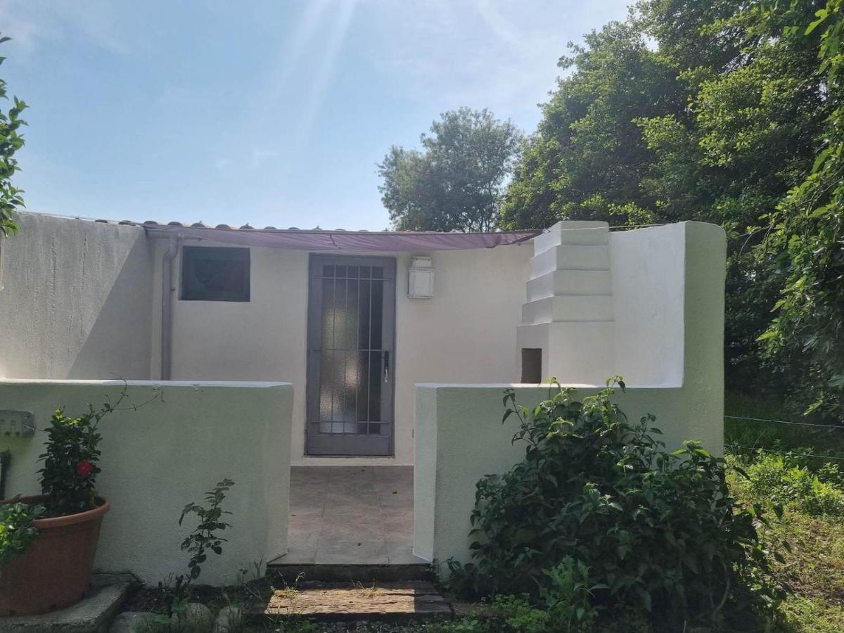 Gites Terra Di A Bravona Linguizzetta Exterior foto